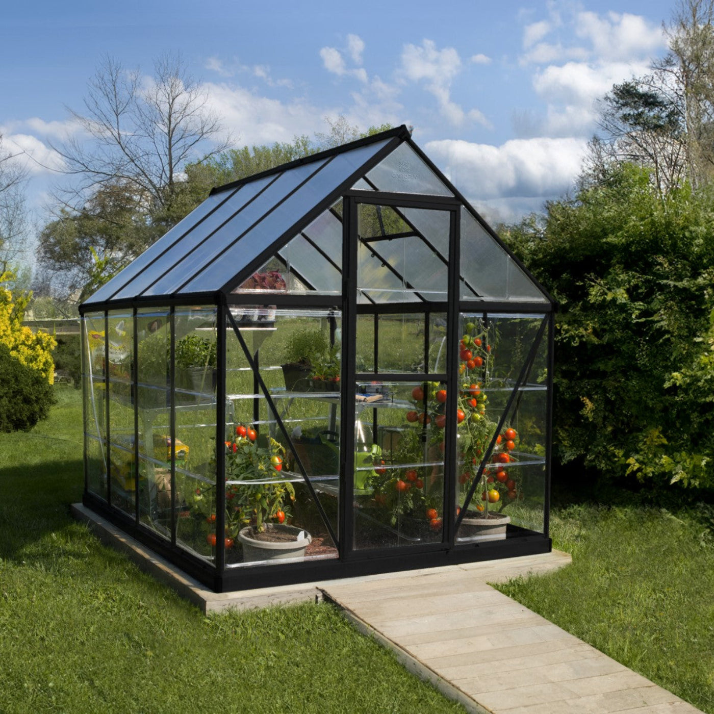 Palram - Canopia | Hybrid 6x8 ft - Black Frame With Polycarbonate Hybrid Panels - HG5508K