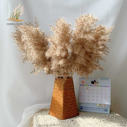Dried Pampas Grass Decor