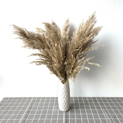 Dried Pampas Grass Decor