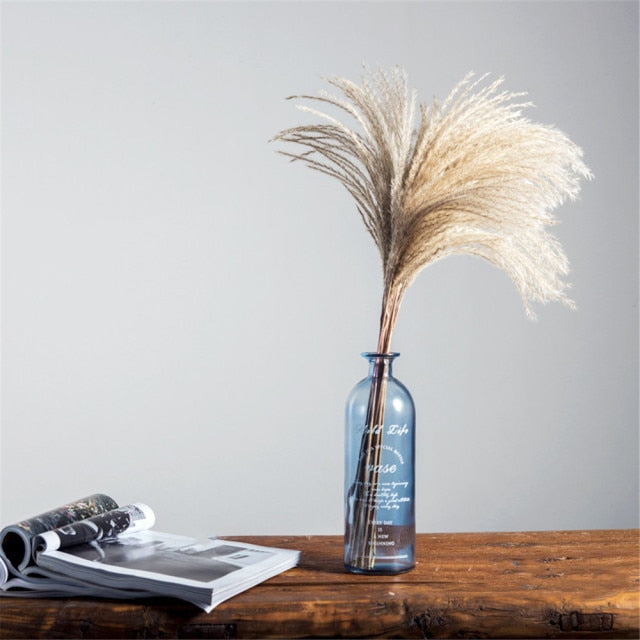Dried Pampas Grass Decor