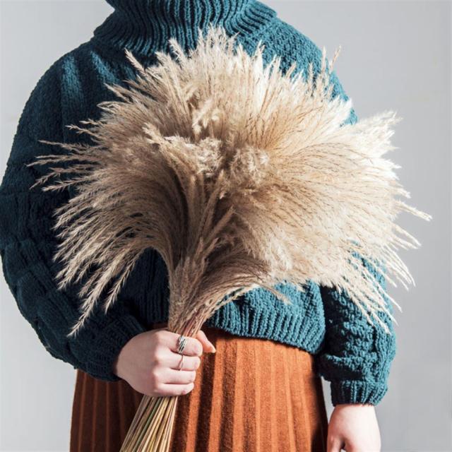 Dried Pampas Grass Decor