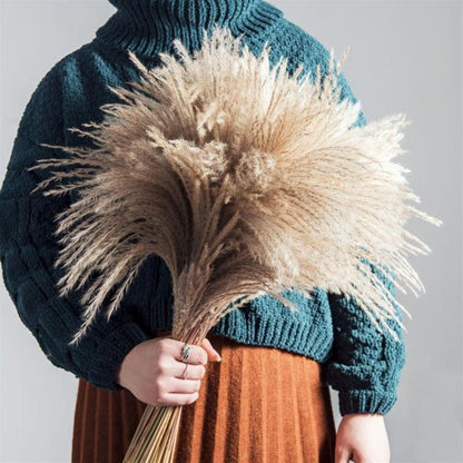 Dried Pampas Grass Decor