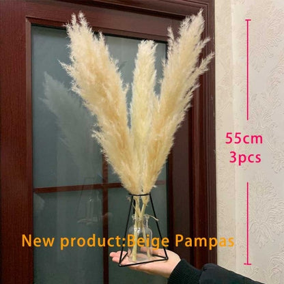 Dried Pampas Grass Decor