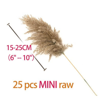 Dried Pampas Grass Decor